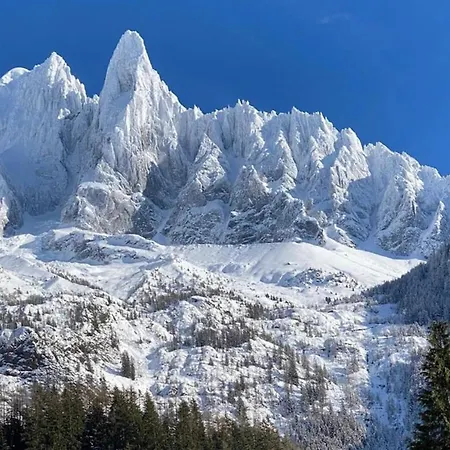 De L'aiguille With View On Mont Blanc شاليه *